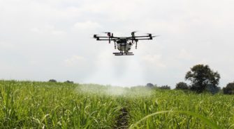 Inteligencia Artificial para la agricultura