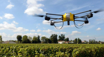 Impulso a la agricultura del Yaqui con drones