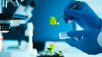 CoMaBio y la FND apoyarán proyectos sostenibles de agrobiotecnología