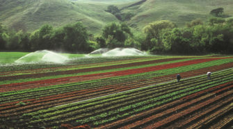 Reutilización del agua ante los retos agrícolas