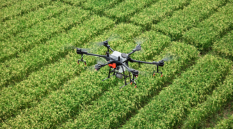 Drones e IA para un mejor rendimiento en la agricultura