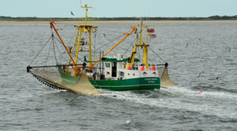 Global Fishing Watch, plataforma que monitorea la pesca a nivel global