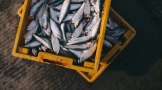 Retienen más de 107 mil kg de productos pesqueros y acuícolas