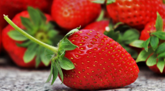 Hojas de fresa pueden combatir bacterias y hongos